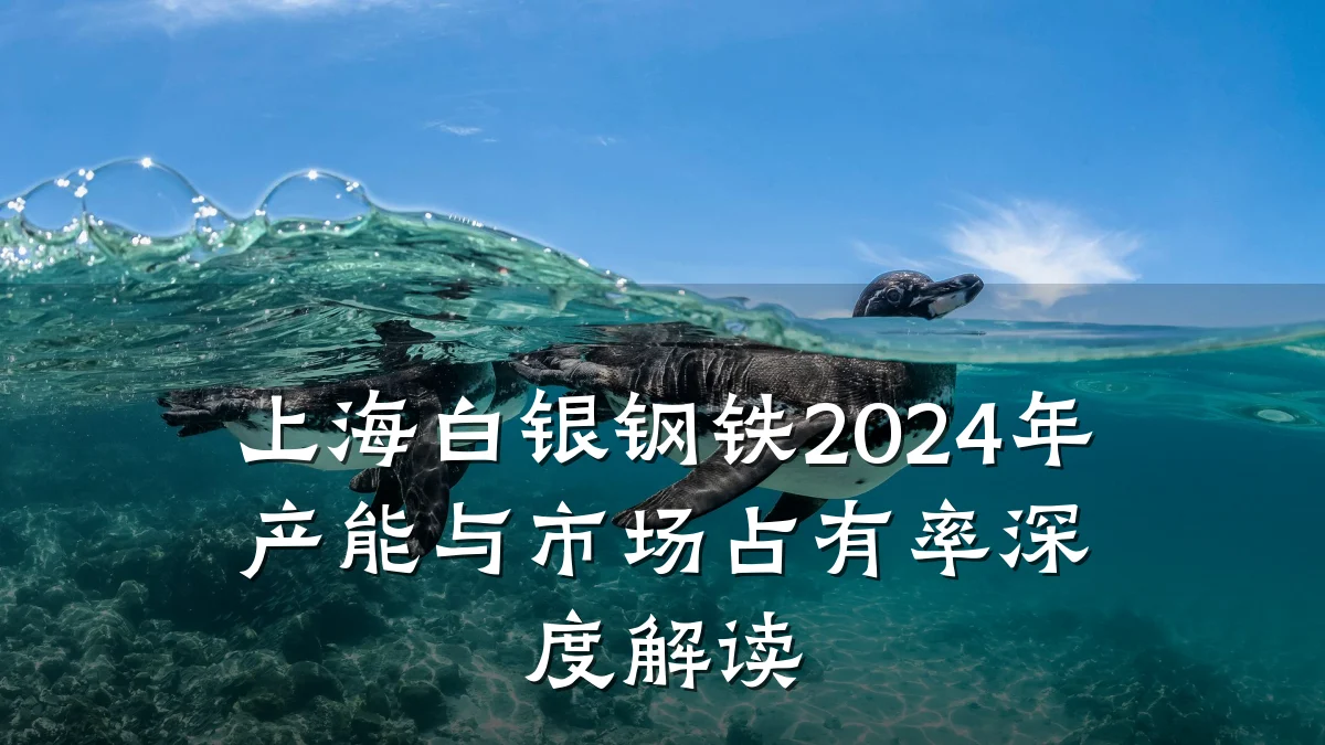 上海白银钢铁2024年产能与市场占有率深度解读