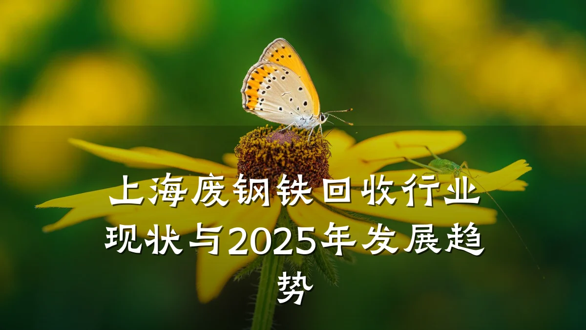 上海废钢铁回收行业现状与2025年发展趋势