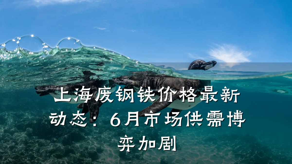 上海废钢铁价格最新动态：6月市场供需博弈加剧