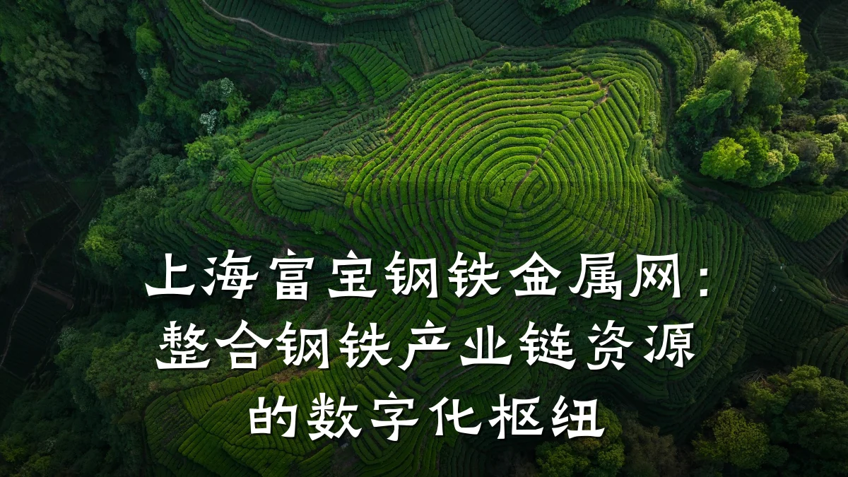 上海富宝钢铁金属网：整合钢铁产业链资源的数字化枢纽
