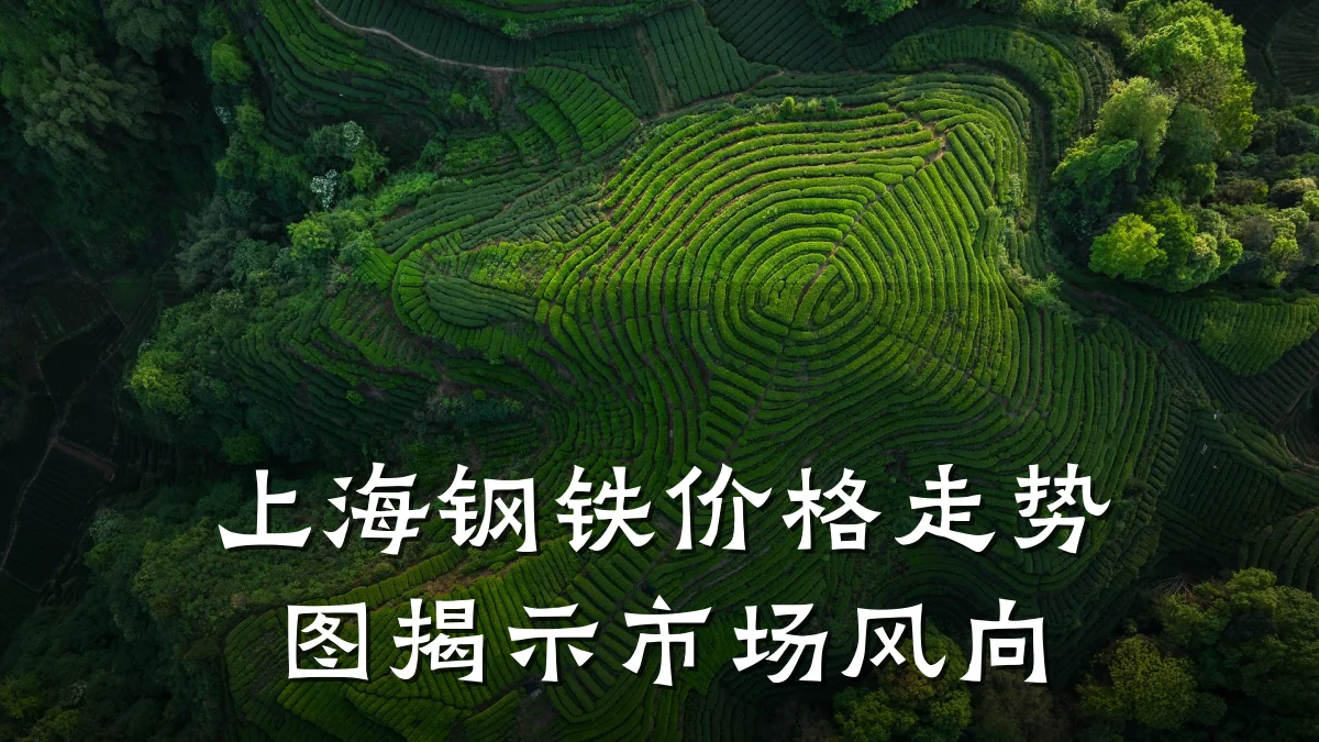 上海钢铁价格走势图揭示市场风向