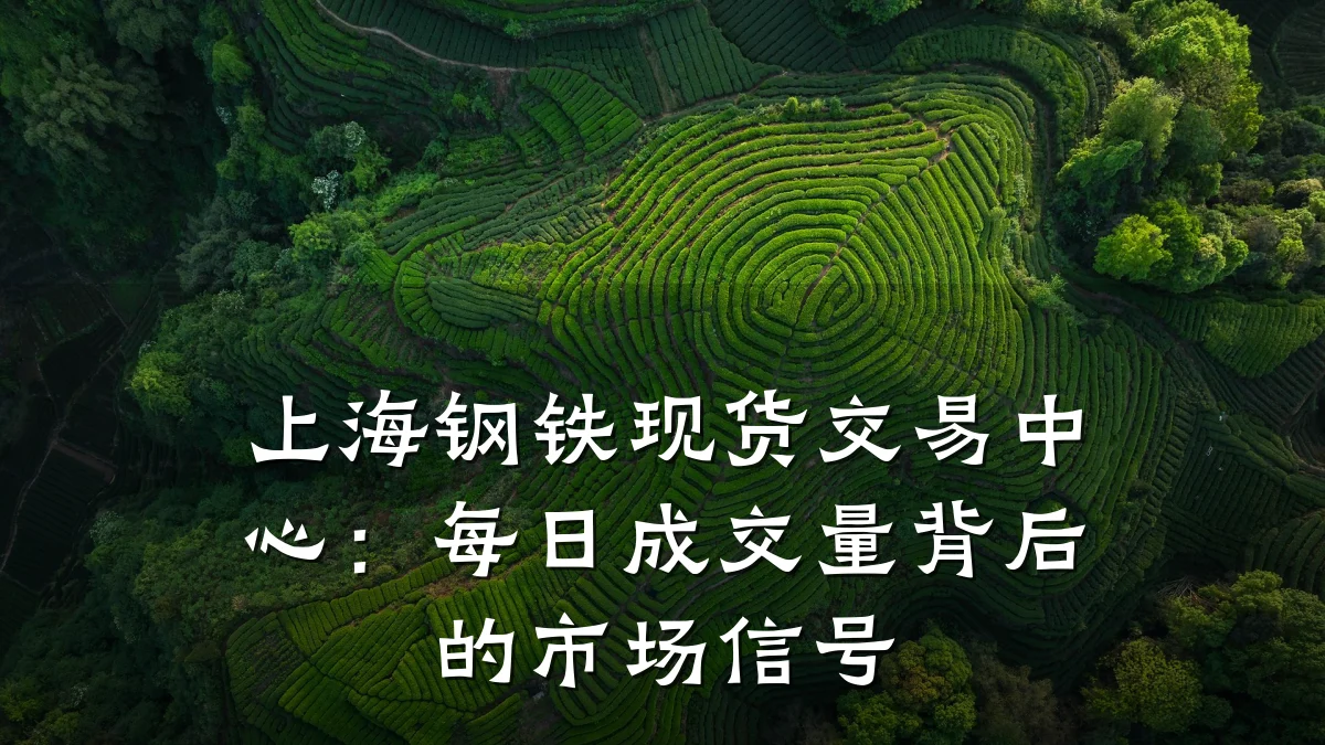 上海钢铁现货交易中心：每日成交量背后的市场信号