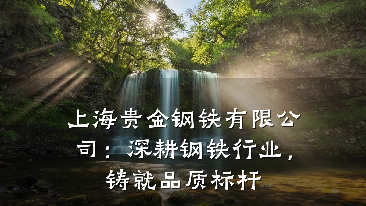上海贵金钢铁有限公司:深耕钢铁行业,铸就品质标杆