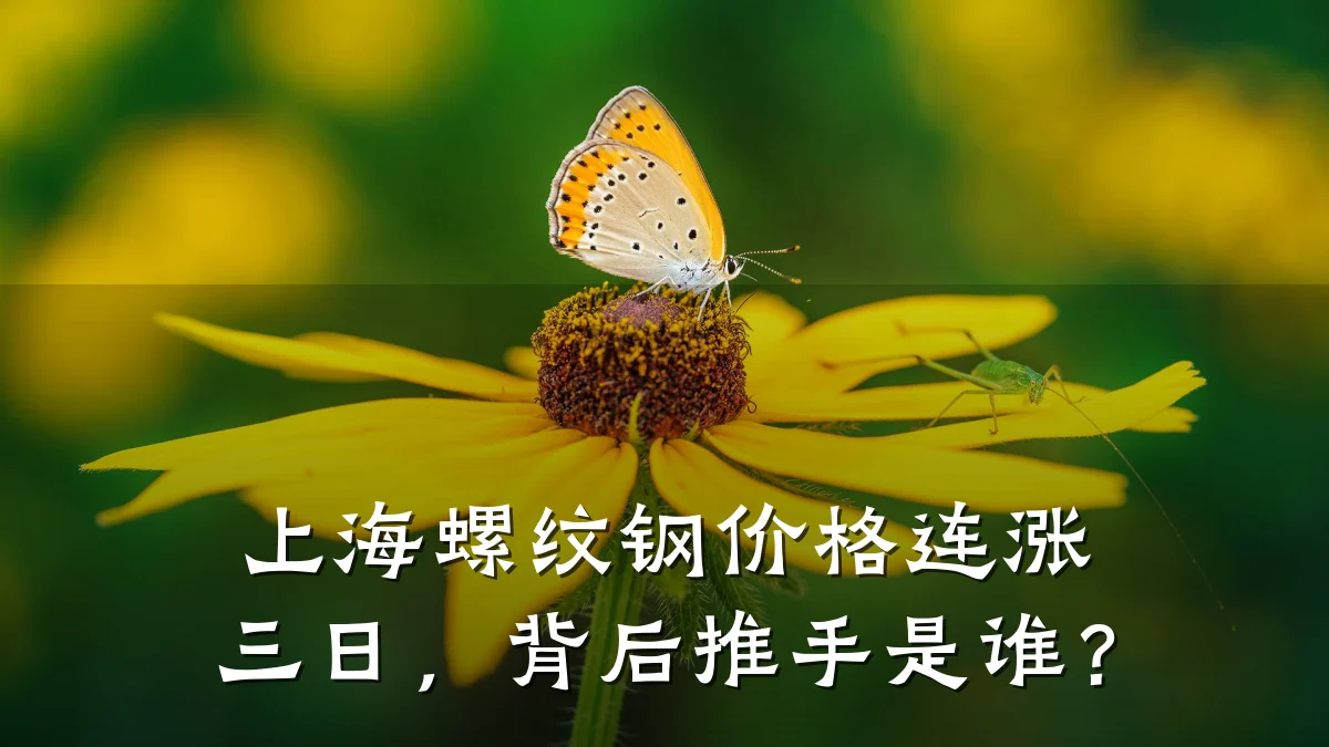 上海螺纹钢价格连涨三日，背后推手是谁？