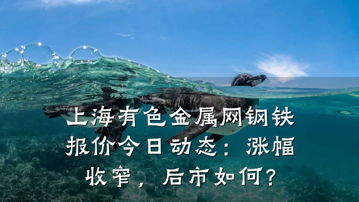 上海有色金属网钢铁报价今日动态：涨幅收窄，后市如何？