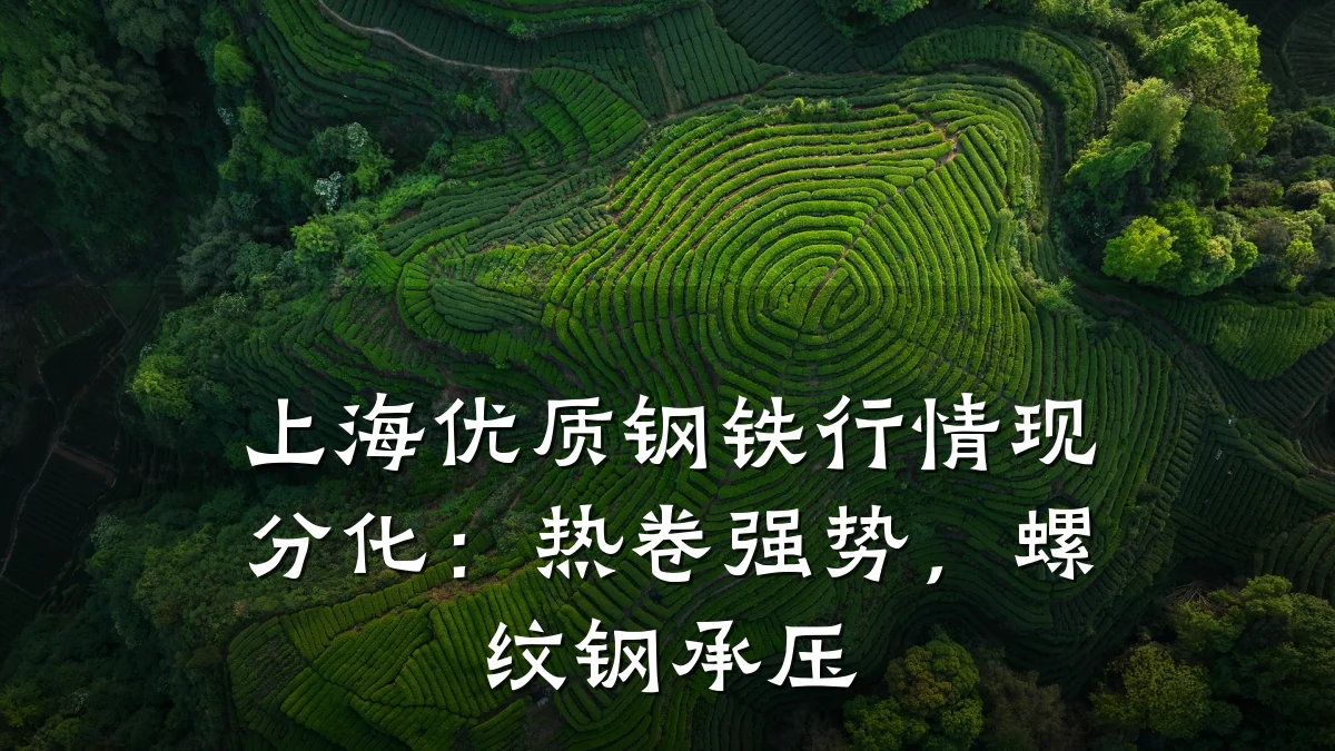上海优质钢铁行情现分化：热卷强势，螺纹钢承压