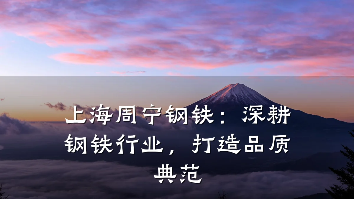 上海周宁钢铁：深耕钢铁行业，打造品质典范
