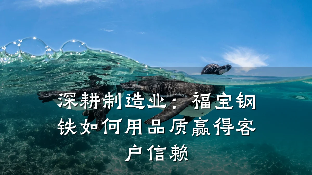 深耕制造业：福宝钢铁如何用品质赢得客户信赖
