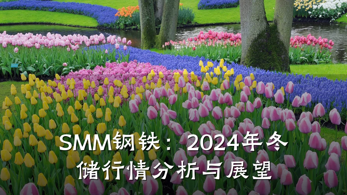 SMM钢铁：2024年冬储行情分析与展望