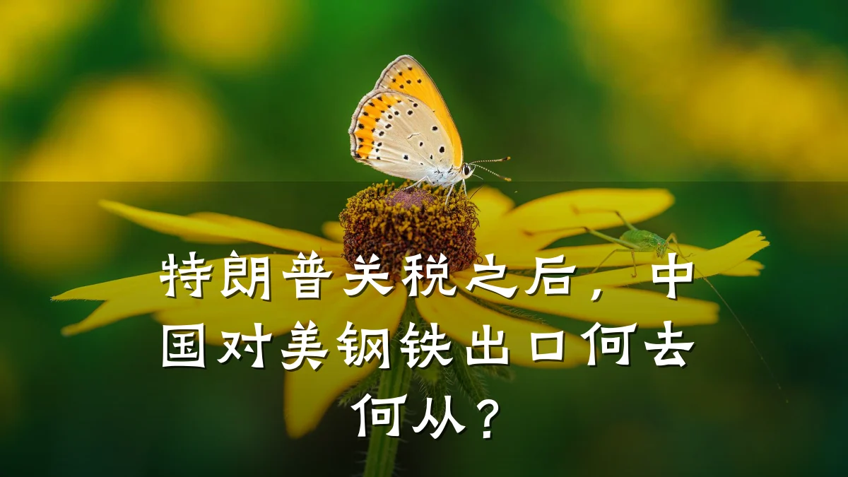 特朗普关税之后，中国对美钢铁出口何去何从？