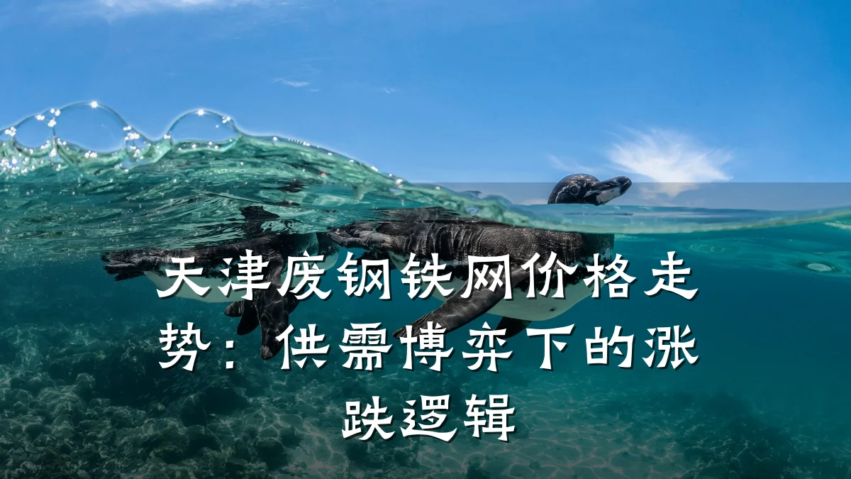 天津废钢铁网价格走势：供需博弈下的涨跌逻辑