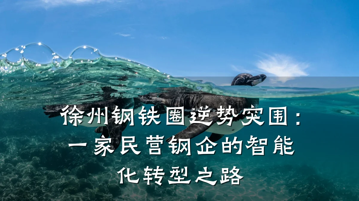 徐州钢铁圈逆势突围：一家民营钢企的智能化转型之路