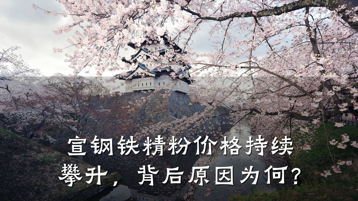 宣钢铁精粉价格持续攀升，背后原因为何？