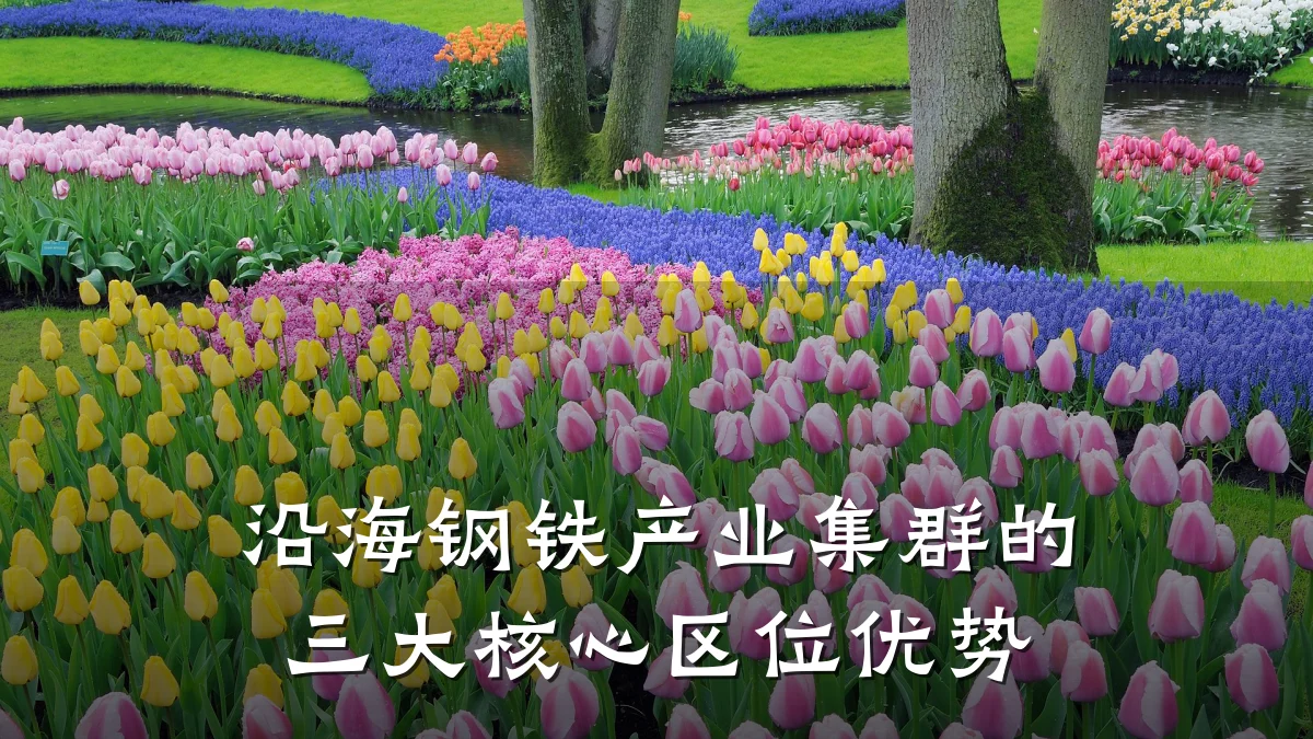 沿海钢铁产业集群的三大核心区位优势