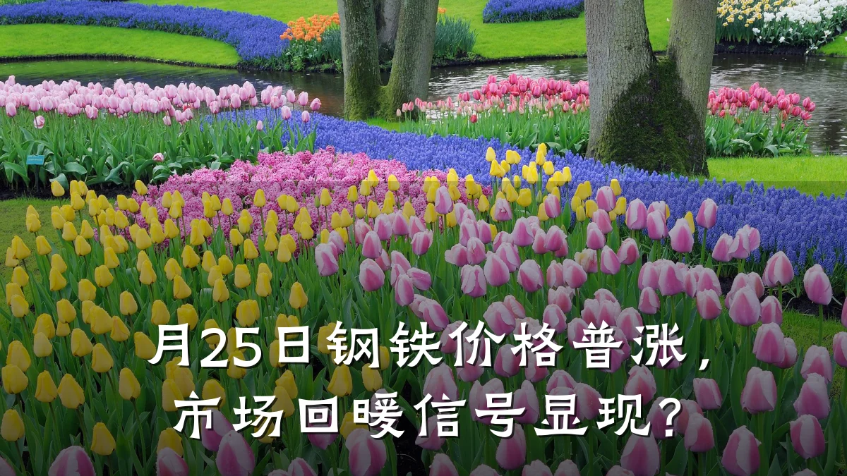 月25日钢铁价格普涨，市场回暖信号显现？