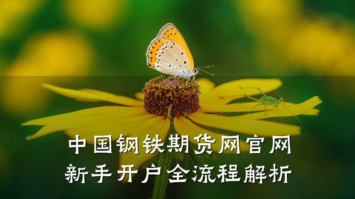 中国钢铁期货网官网新手开户全流程解析