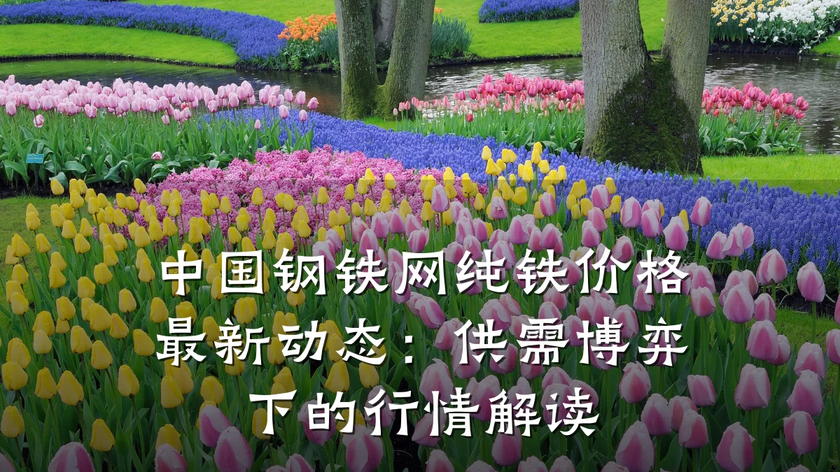 中国钢铁网纯铁价格最新动态：供需博弈下的行情解读