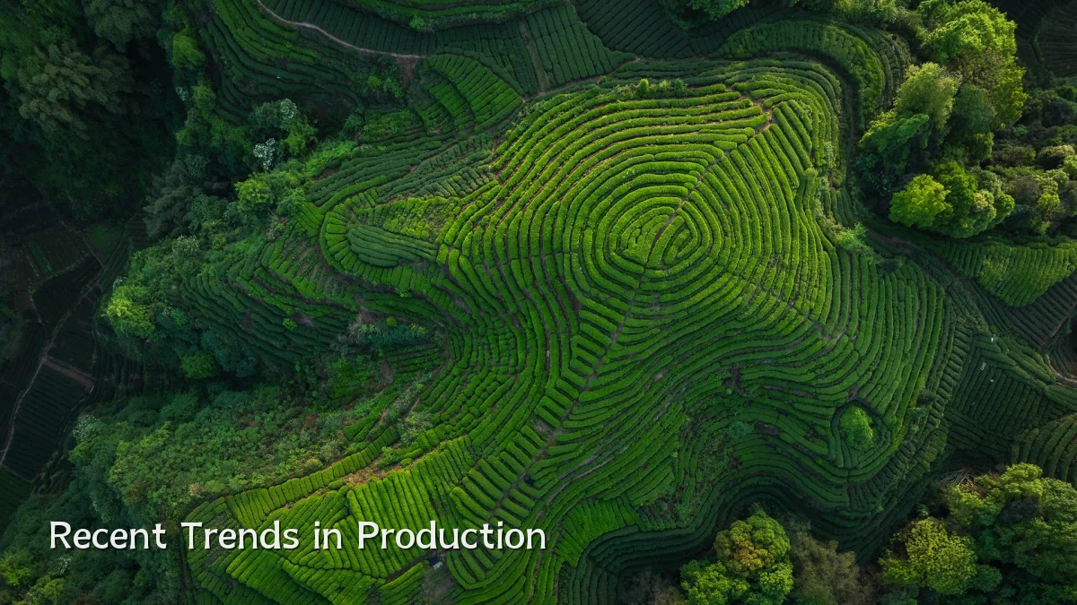 Recent Trends in Production
