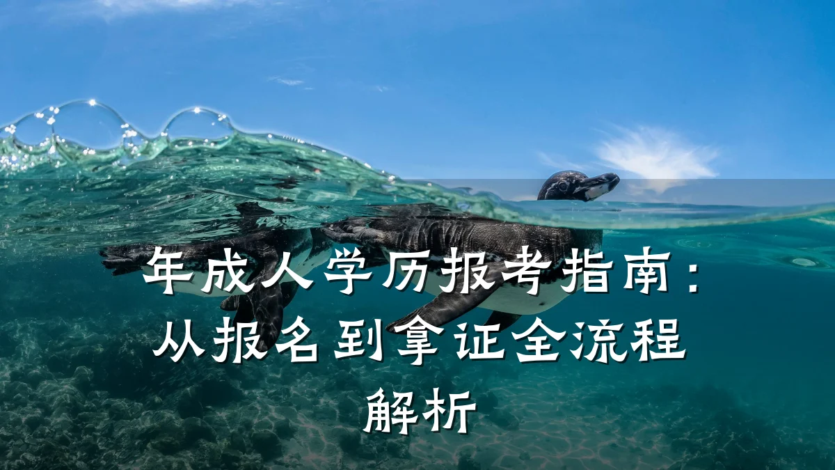 年成人学历报考指南：从报名到拿证全流程解析