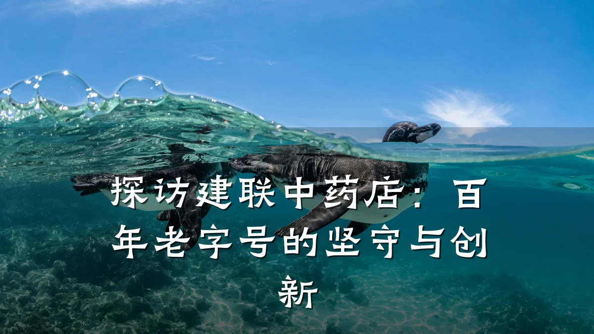探访建联中药店：百年老字号的坚守与创新