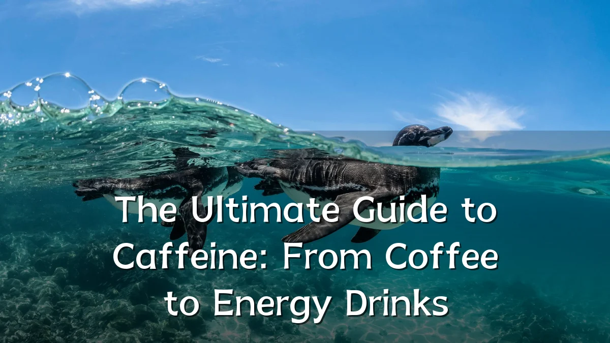The Ultimate Guide to Caffeine: From Coffee to Energy Drinks