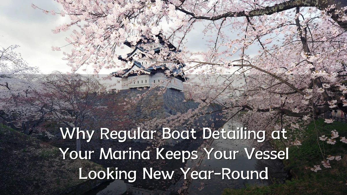 Why Regular Boat Detailing at Your Marina Keeps Your Vessel Looking New Year-Round