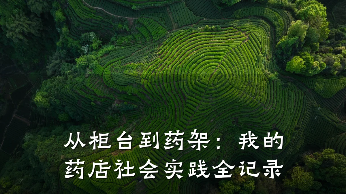 从柜台到药架：我的药店社会实践全记录