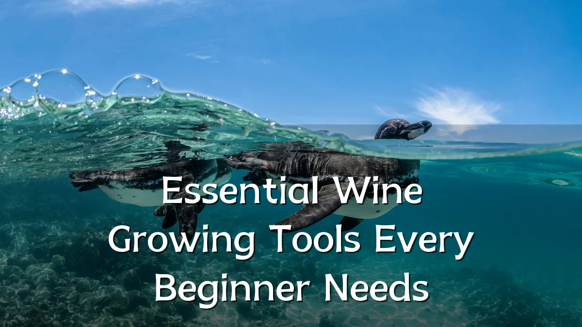 Essential Wine Growing Tools Every Beginner Needs