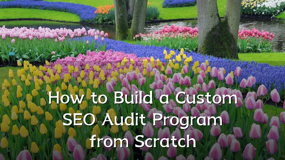 How to Build a Custom SEO Audit Program from Scratch