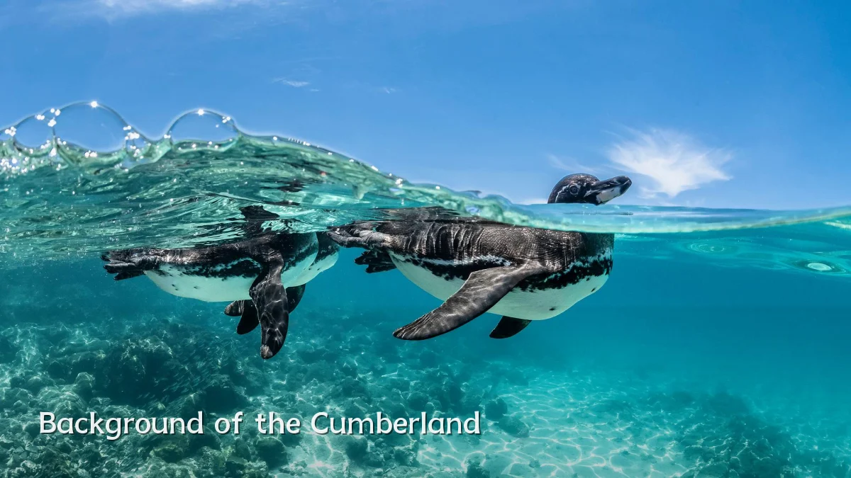 Background of the Cumberland