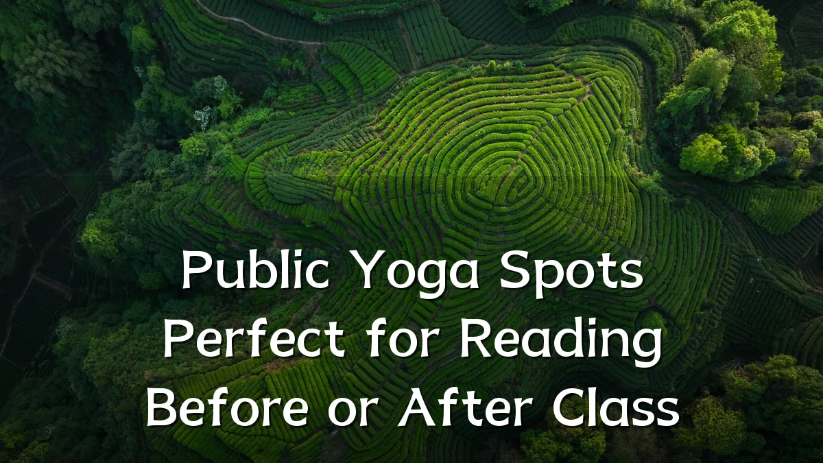 Public Yoga Spots Perfect for Reading Before or After Class