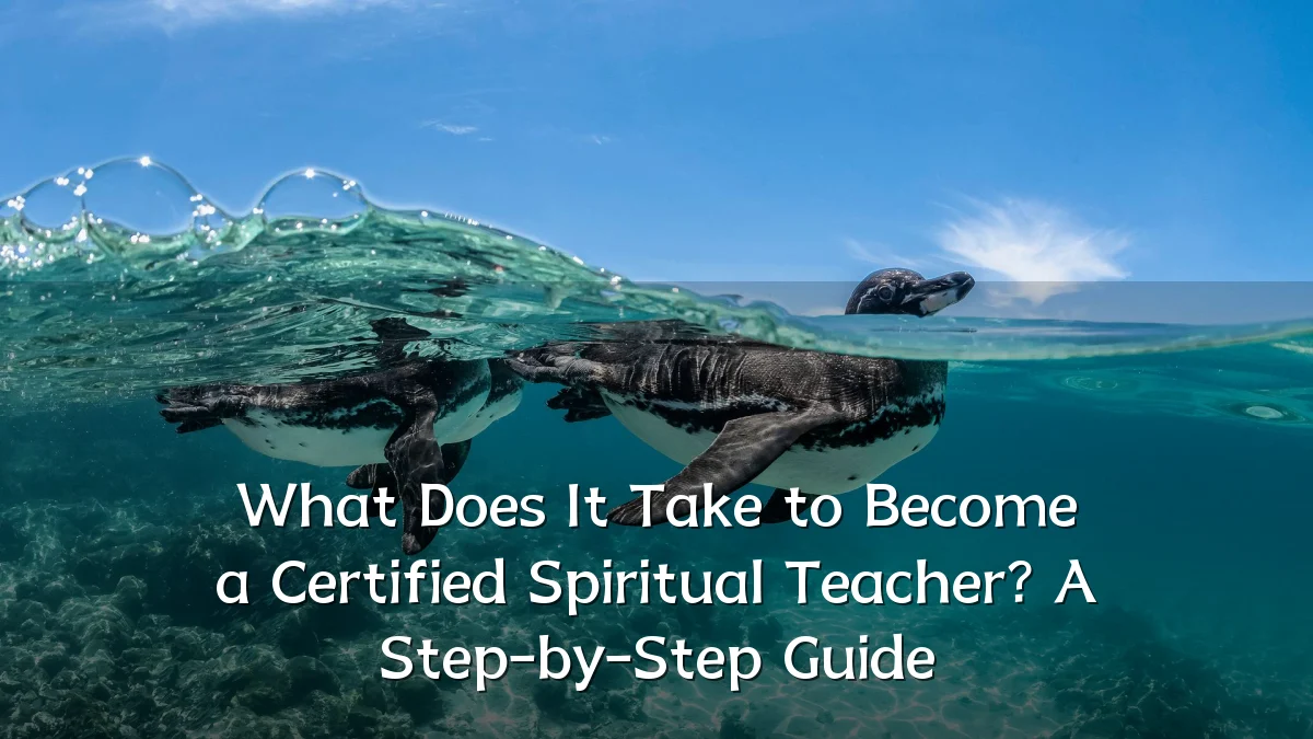 What Does It Take to Become a Certified Spiritual Teacher? A Step-by-Step Guide