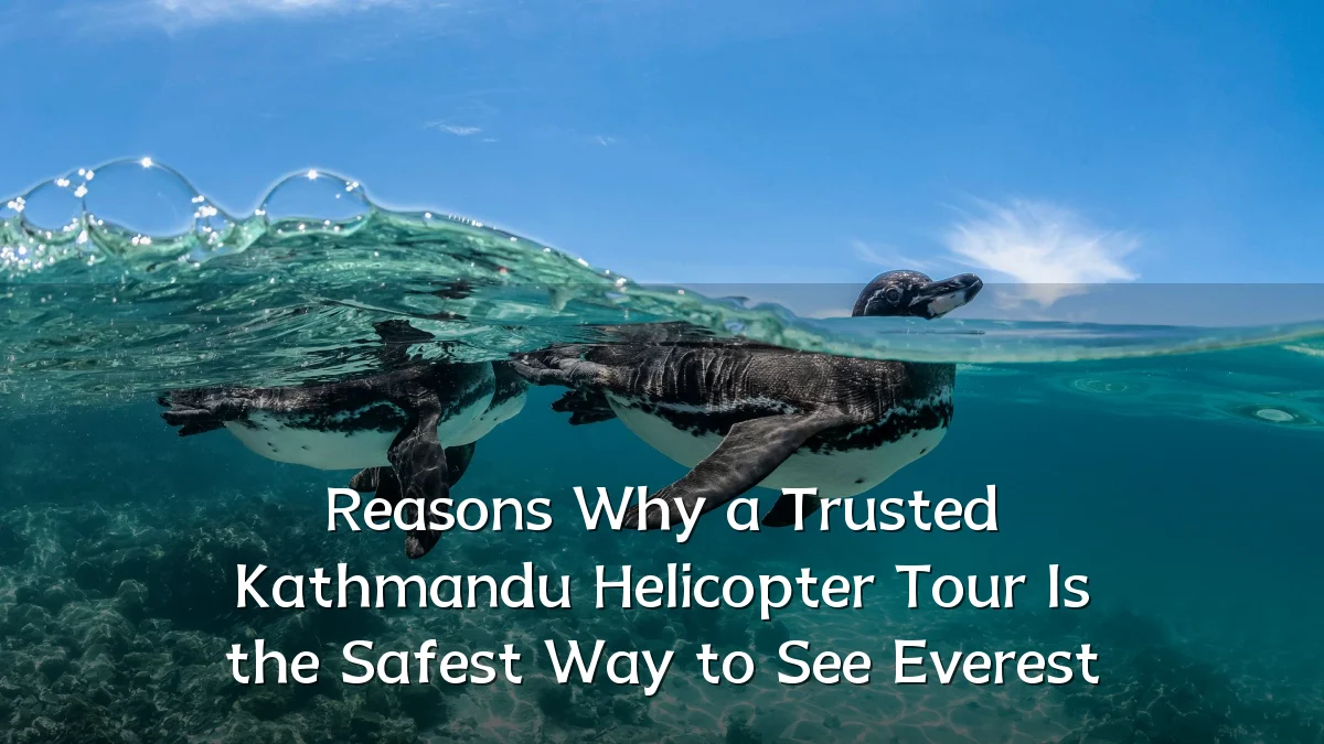 Reasons Why a Trusted Kathmandu Helicopter Tour Is the Safest Way to See Everest