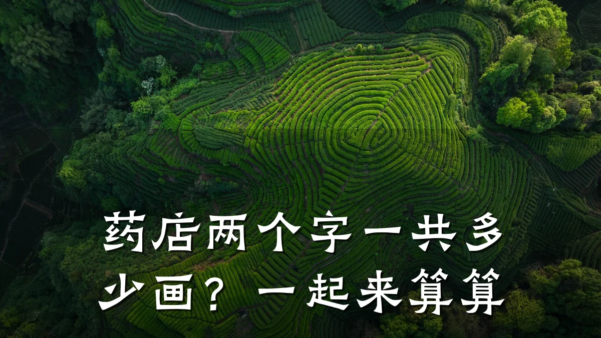 药店两个字一共多少画？一起来算算