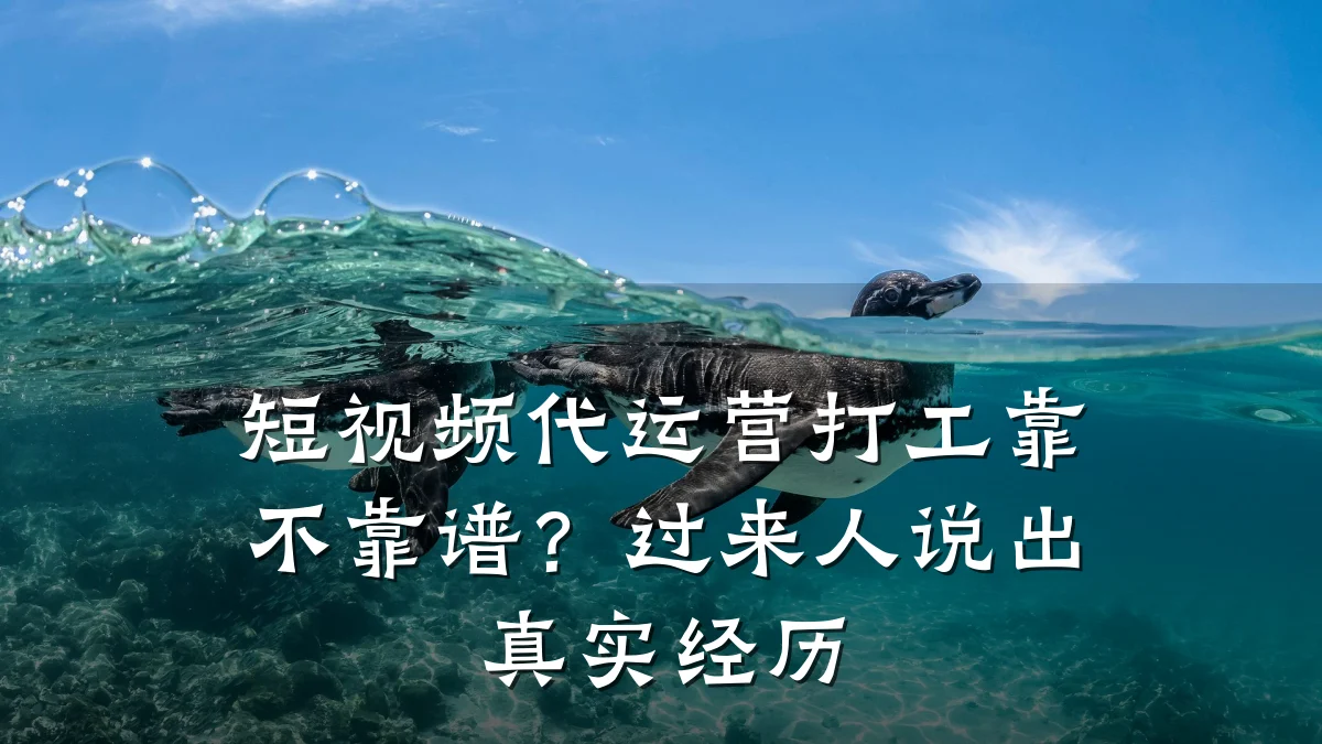 短视频代运营打工靠不靠谱？过来人说出真实经历