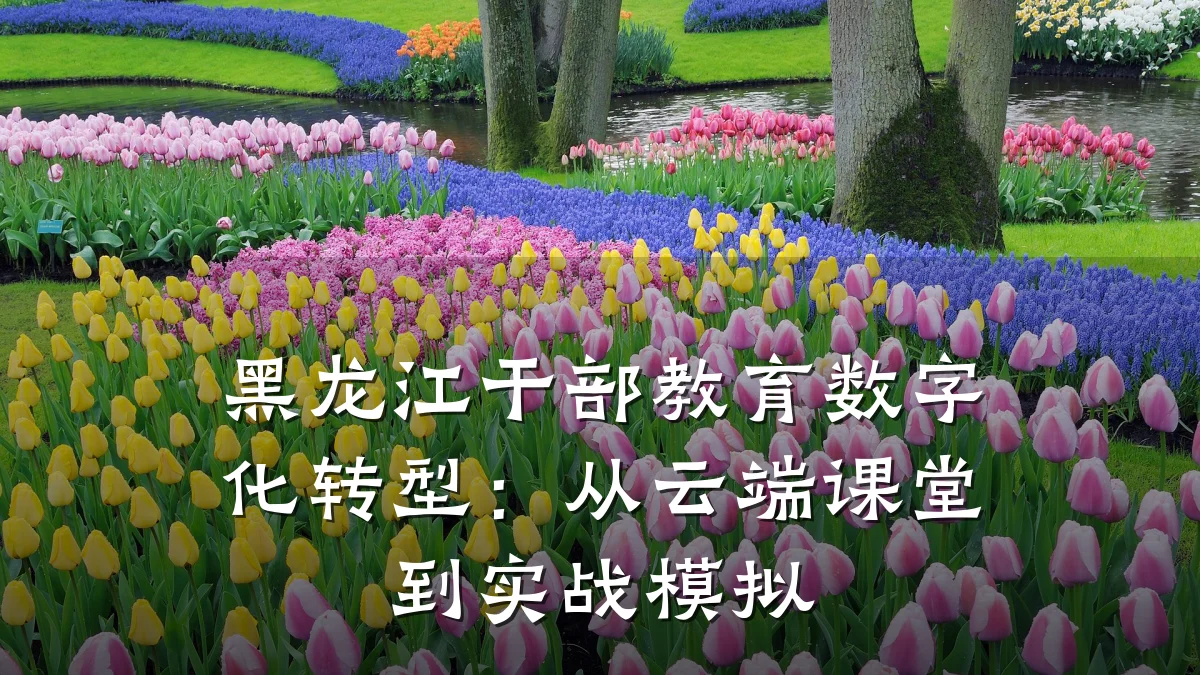 黑龙江干部教育数字化转型：从云端课堂到实战模拟